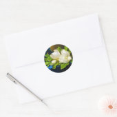 ブルーベルベットのキャンバスに巨大なマグノリアス ラウンドシール (封筒)