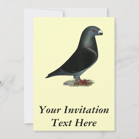 ブルーベルベットショーレーサー 招待状 (正面)