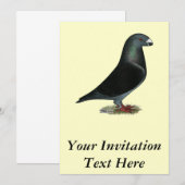 ブルーベルベットショーレーサー 招待状 (正面/裏面)