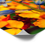 ブルーベル春の花ヒアシントヒデス ポスター (角)