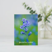 ブルーベル花はがき ポストカード (スタンド正面)