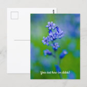 ブルーベル花はがき ポストカード (正面/裏面)