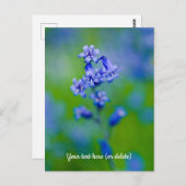 ブルーベル花はがき ポストカード (正面/裏面)