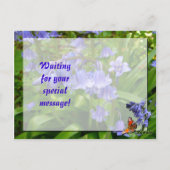 ブルーベル～はがき# 3 ポストカード (裏面)