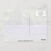 ブルーベル・ウッズ,イングランドの花 ポストカード (裏面)