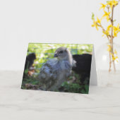 ブルーベル カード (黄色い花)