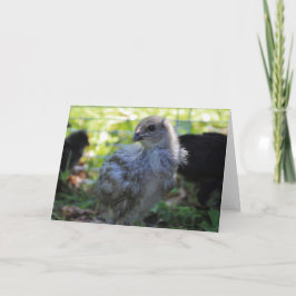 ブルーベル カード