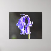 ブルーベル キャンバスプリント (正面)