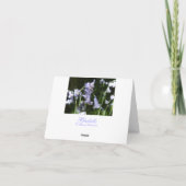 ブルーベル サンキューカード (裏面)