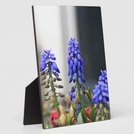 ブルーベル フォトプラーク (側面)