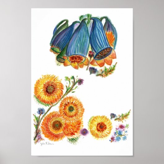 ブルーベル ポスター (正面)