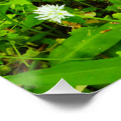 ブルーベル ポスター (コーナー)