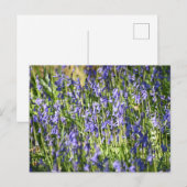 ブルーベル ポストカード (正面/裏面)