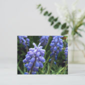 ブルーベル ポストカード (スタンド正面)