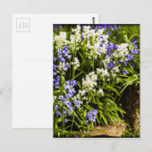 ブルーベル ポストカード (正面/裏面)