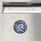 ブルーベル マグネット (インサイチュ (食洗機))