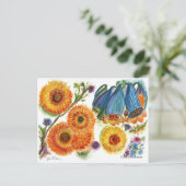 ブルーベル《植物》百日草花葉書 ポストカード (スタンド正面)