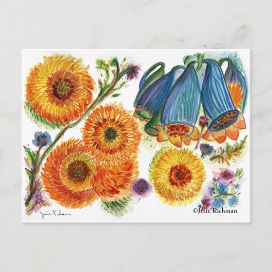 ブルーベル《植物》百日草花葉書 ポストカード (正面)