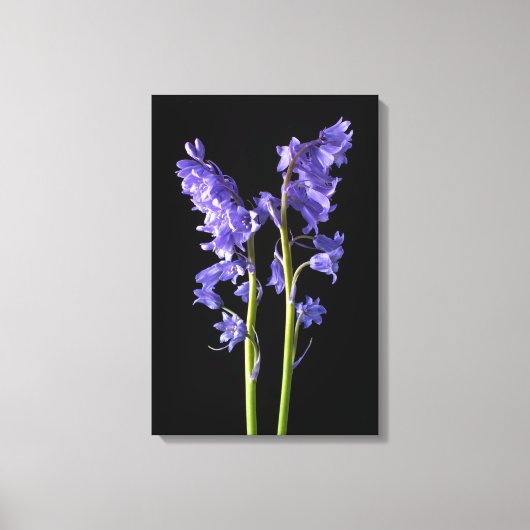 ブルーベル、私が作った森から！ キャンバスプリント (正面)