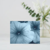 ブルーペチュニア ポストカード (スタンド正面)