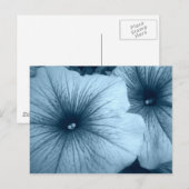 ブルーペチュニア ポストカード (正面/裏面)
