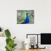 ブルーホウの羽の羽毛の写真 ポスター (ホームオフィス)