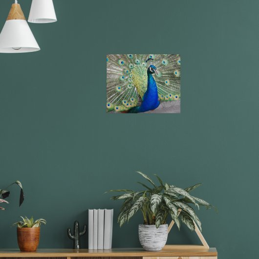 ブルーホウの羽の羽毛の写真 ポスター (リビング1)