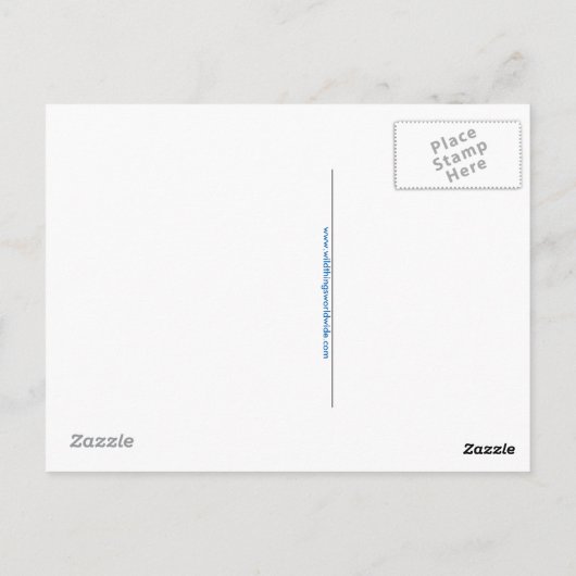 ブルーホエールエコロジー – 自然 ポストカード (裏面)