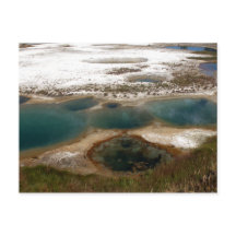 ブルーホット春イエローストーン