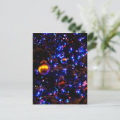 ブルーホリデーグロー シーズンポストカード (スタンド正面)