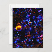 ブルーホリデーグロー シーズンポストカード (正面/裏面)