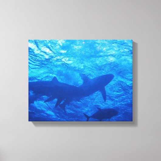 ブルーホールのサメ キャンバスプリント (正面)