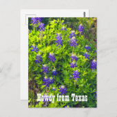ブルーボネッツ・ハウディテキサス州・ワイルドフラワーズの写真 ポストカード (正面/裏面)