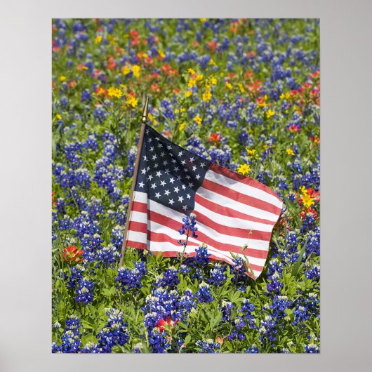 ブルーボネットの花畑の中のアメリカ国旗, ポスター (正面)