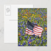 ブルーボネットの花畑の中のアメリカ国旗, ポストカード (正面/裏面)