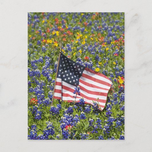 ブルーボネットの花畑の中のアメリカ国旗, ポストカード (正面)