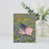 ブルーボネットの花畑の中のアメリカ国旗, ポストカード (スタンド正面)