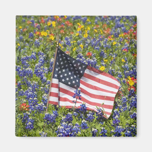 ブルーボネットの花畑の中のアメリカ国旗, マグネット (正面)