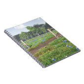 ブルーボネット分野 ノートブック (右側)