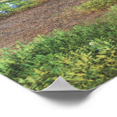 ブルーボネット分野 ポスター (角)