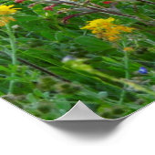 ブルーボンネットとインディアンペイントブラシ – 大動脈 ポスター (角)