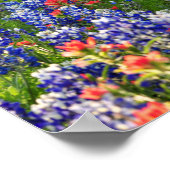 ブルーボンネットとインディアン筆の海 ポスター (角)