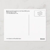 ブルーボンネットとロングホーン，テキサス州ヒルカントリー ポストカード (裏面)