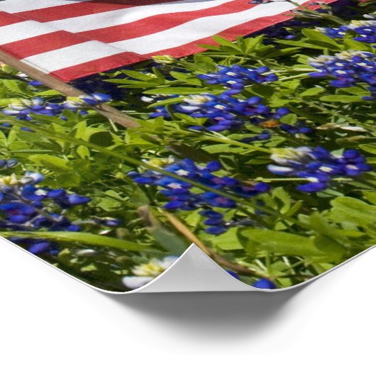 ブルーボンネットのフィールドにあるアメリカ国旗, 2 ポスター (角)