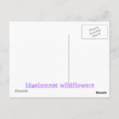 ブルーボンネットの野花が点滴する ポストカード (裏面)