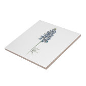 ブルーボンネットセラミックタイル タイル (側面)