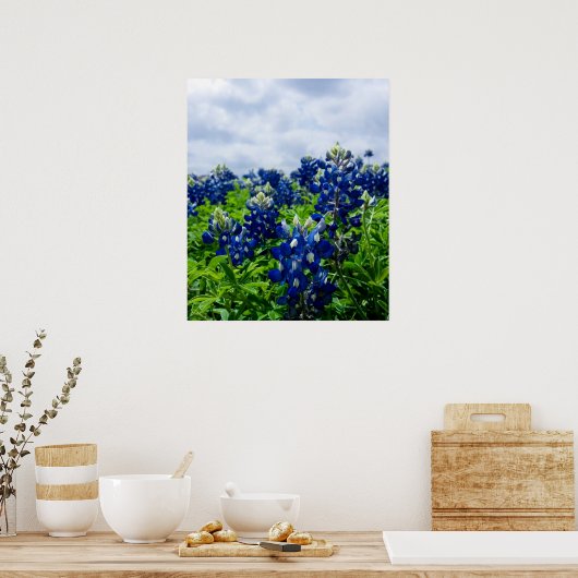 ブルーボンネットブルーフラワーズテキサス州テシャンフローラポスター ポスター (キッチン)