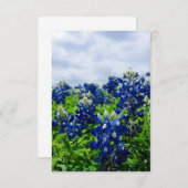 ブルーボンネットブルーフラワーズテキサス州テシャンフローラ サンキューカード (正面/裏面)