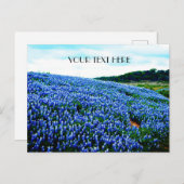ブルーボンネットブルーフラワーズテキサス州テシャンフローラ ポストカード (正面/裏面)