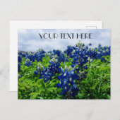 ブルーボンネットブルーフラワーズテキサス州テシャンフローラ ポストカード (正面/裏面)